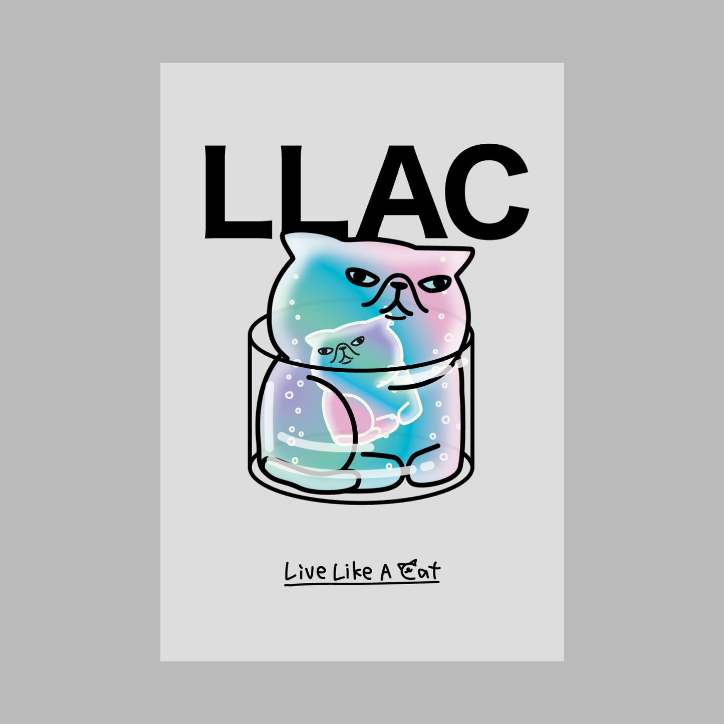 Post Card Set A - 22 Collection -