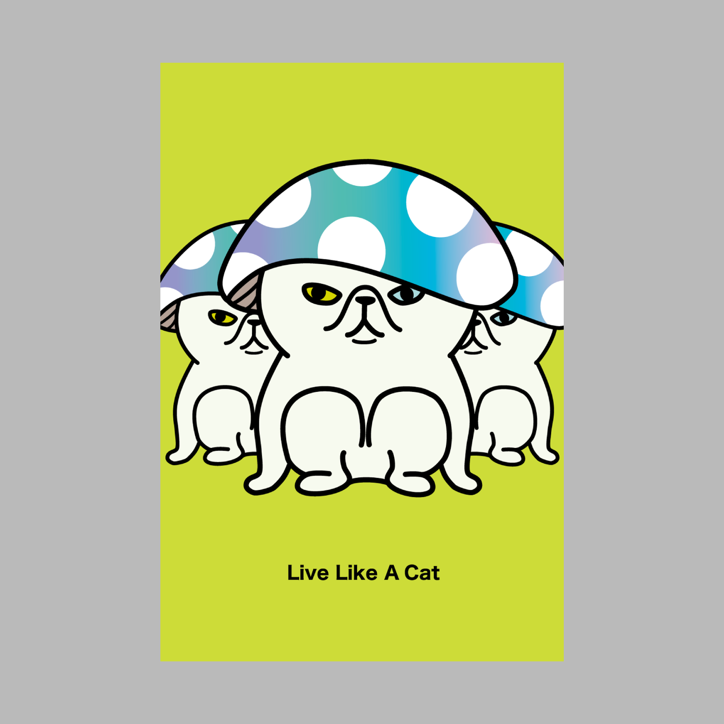 Post Card Set B - Mushroom -