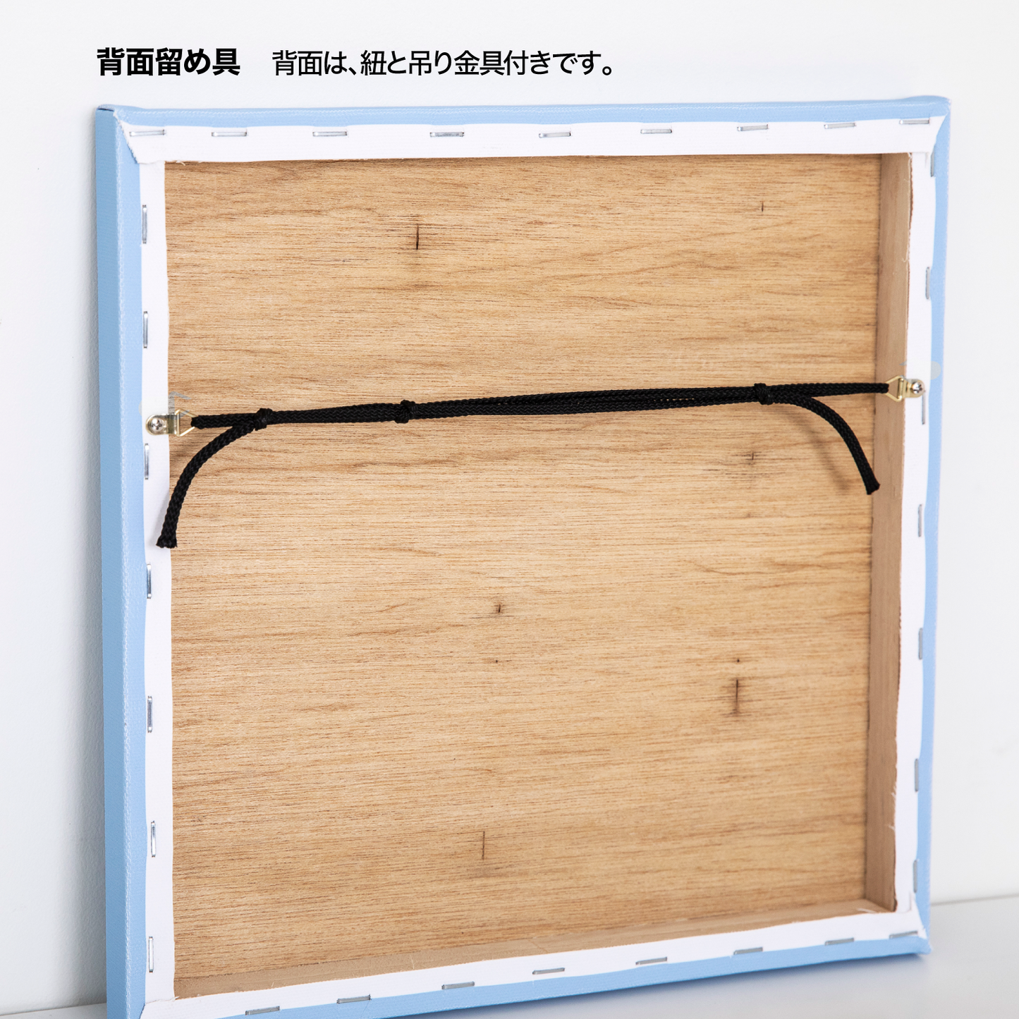 [Free Shipping] In Panel Blue